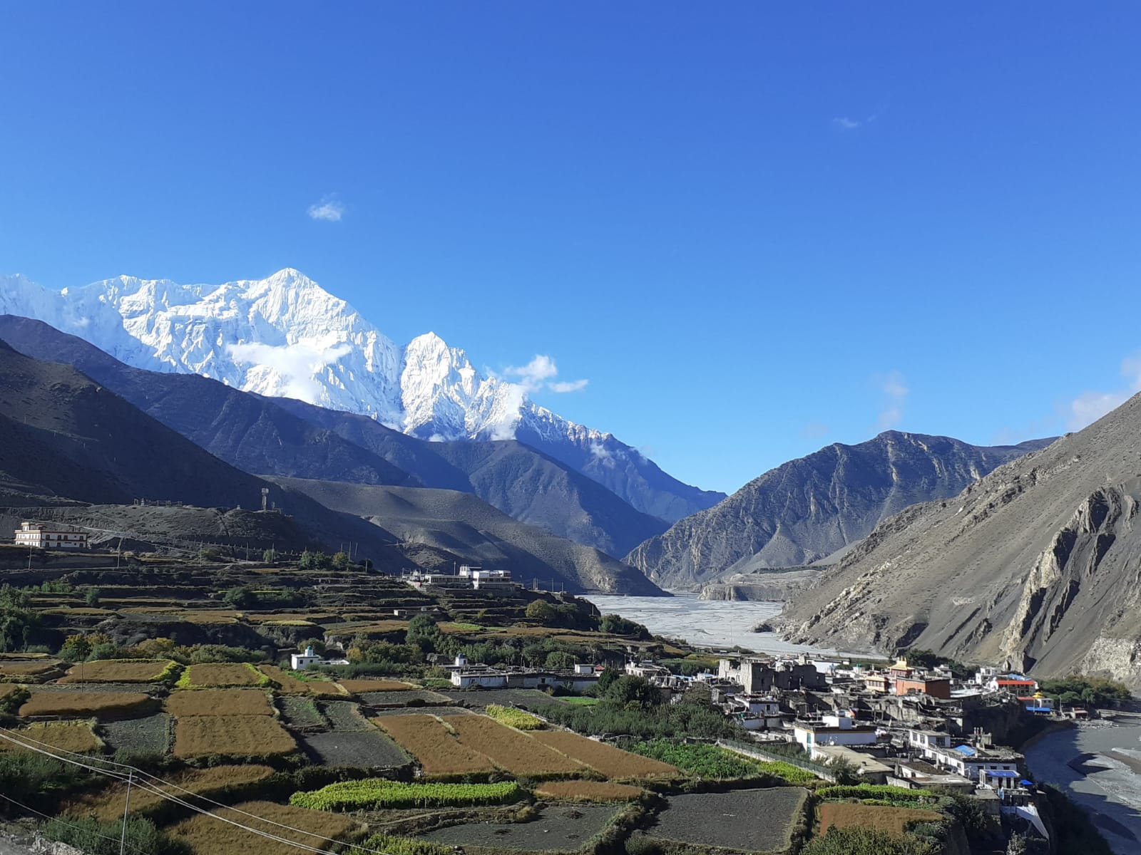 Experience the Thrill of Trekking with Twin Peaks Treks and Travels in Nepal